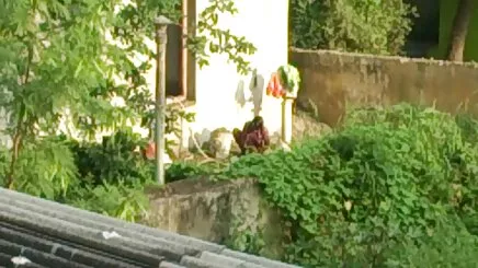 Già, phim hiem dam 18